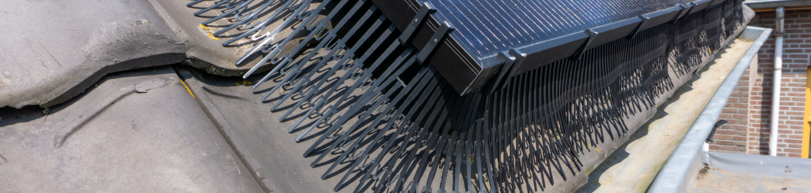 Last van vogels onder je zonnepanelen?