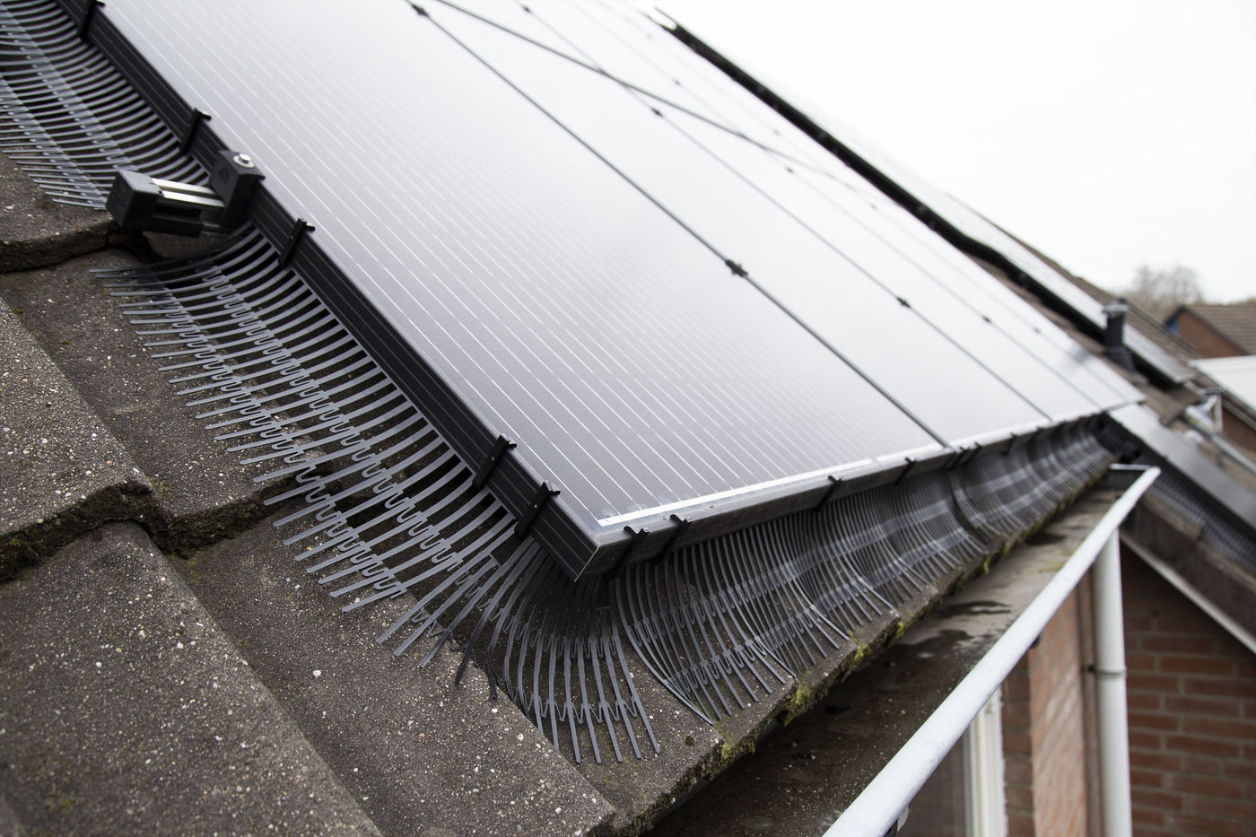 Klantreview van de Solarguard Pro