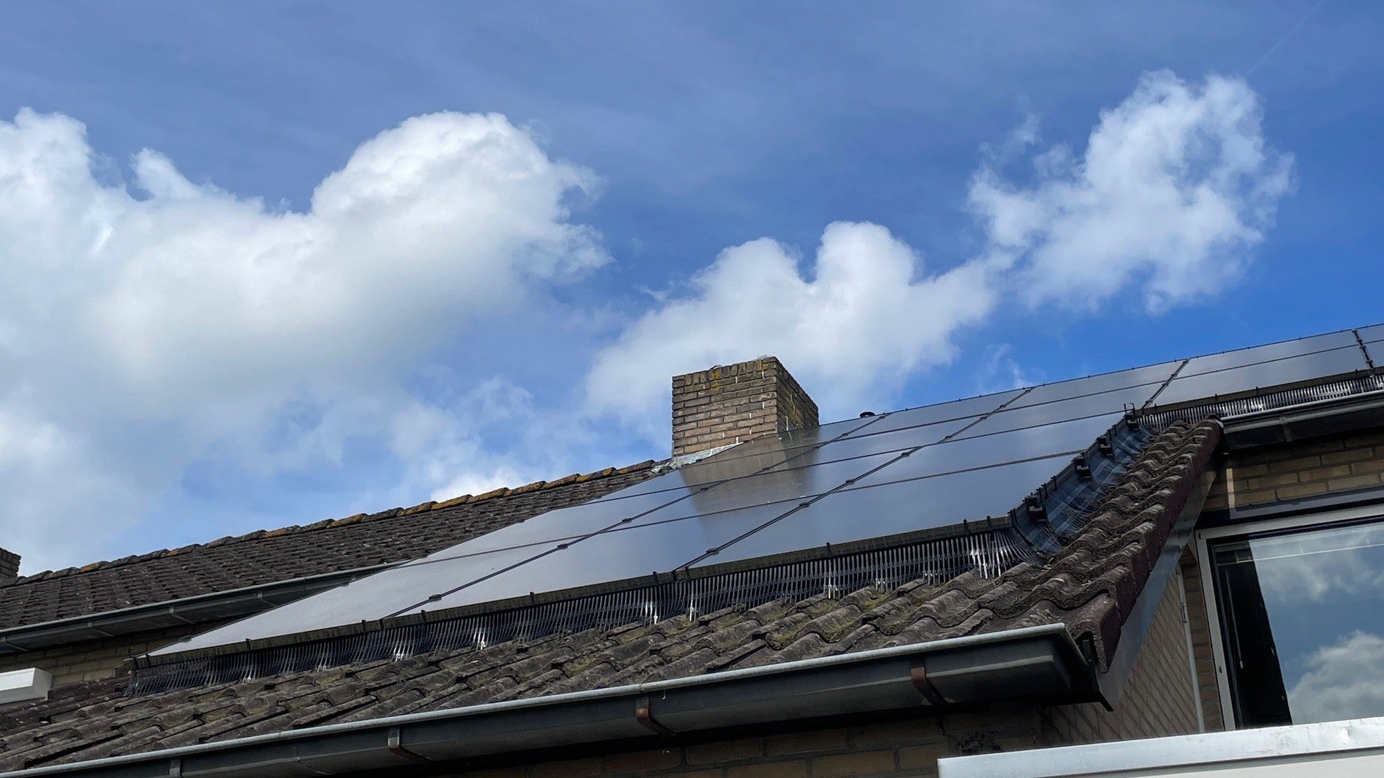 Vogels onder Zonnepanelen