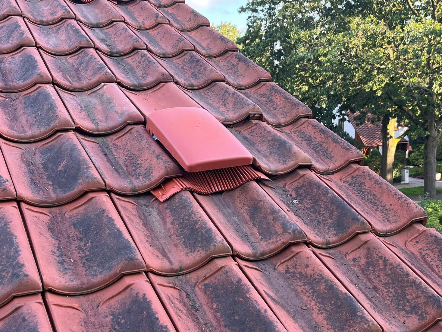 Dakdoorvoer