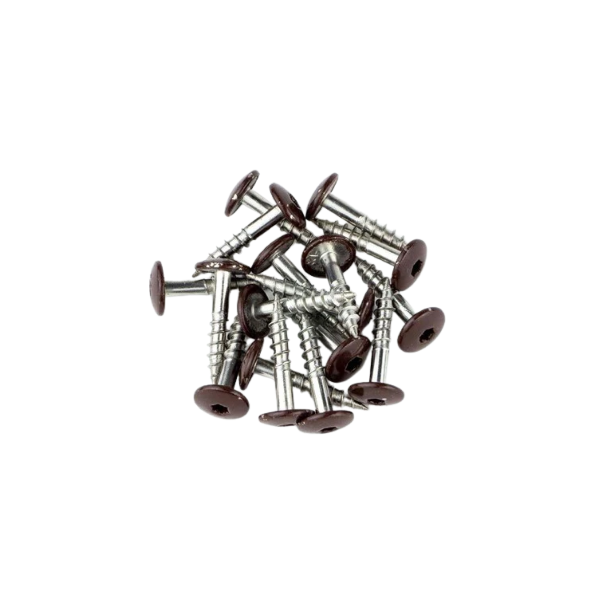 Trespaschroef Rvs Bruin Ral8017 4.8X25 (100 stuks)