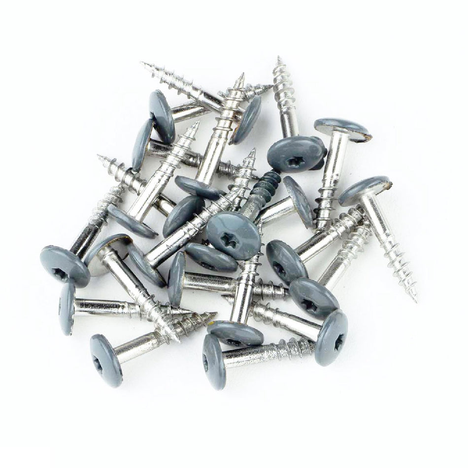 Trespaschroef Rvs Antraciet Ral7016 4.8X25 (100 stuks)